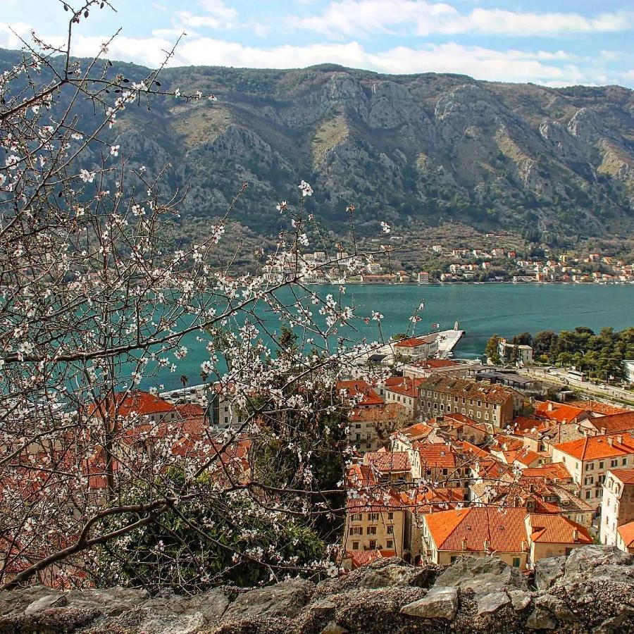 شقة Old Town Kotor Square المظهر الخارجي الصورة